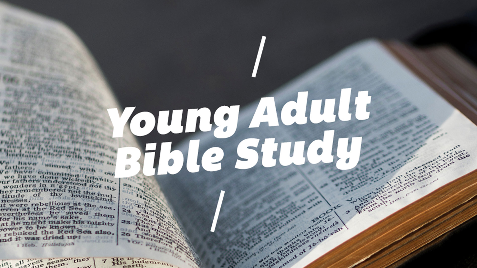 Young adult bible study